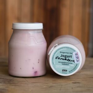 Beeren-Joghurt (500g)